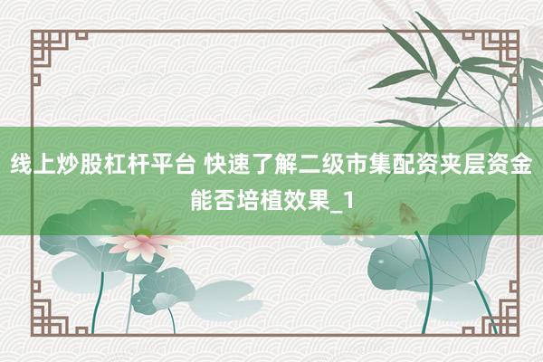 线上炒股杠杆平台 快速了解二级市集配资夹层资金能否培植效果_1